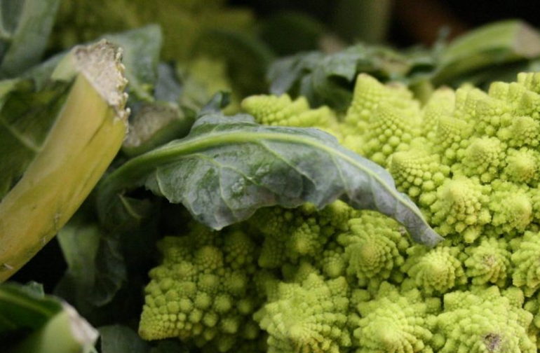 broccoli