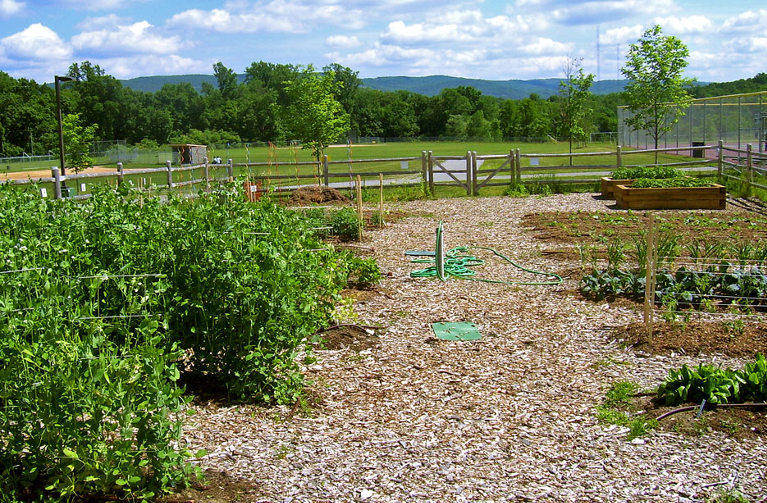 Organic garden