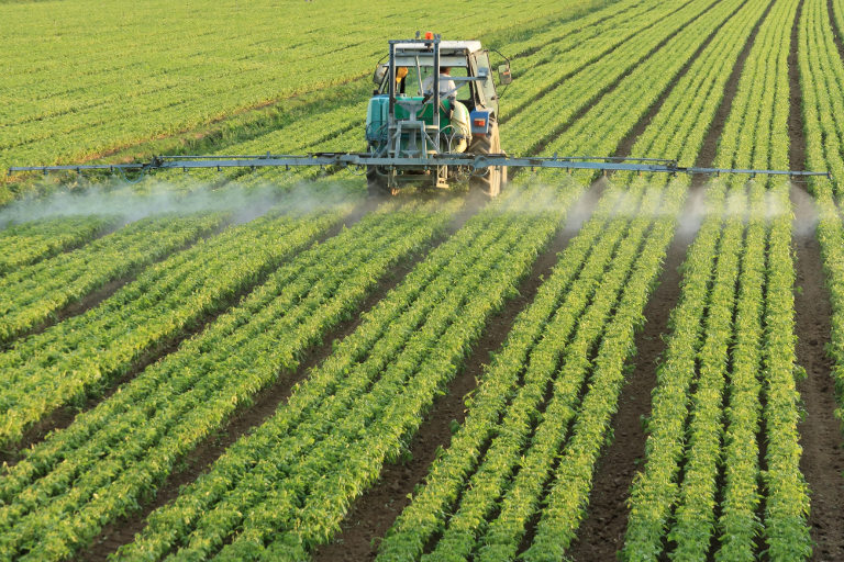 combine in field