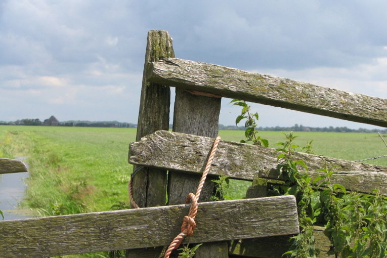 Farm