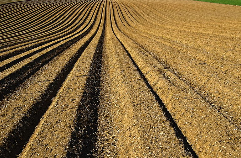 field