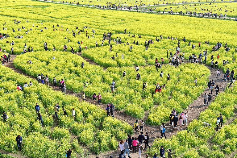 Daejeo_Ecological_Park