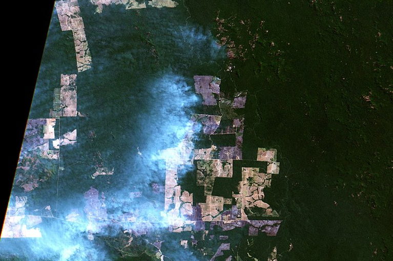 Amazon rainforest fires