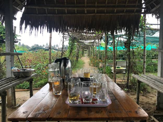 Organic farm in Vietnam