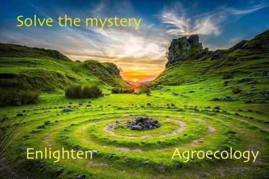 mystery