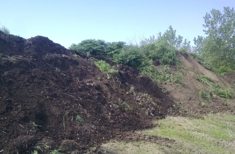Rooty soil with wood chips