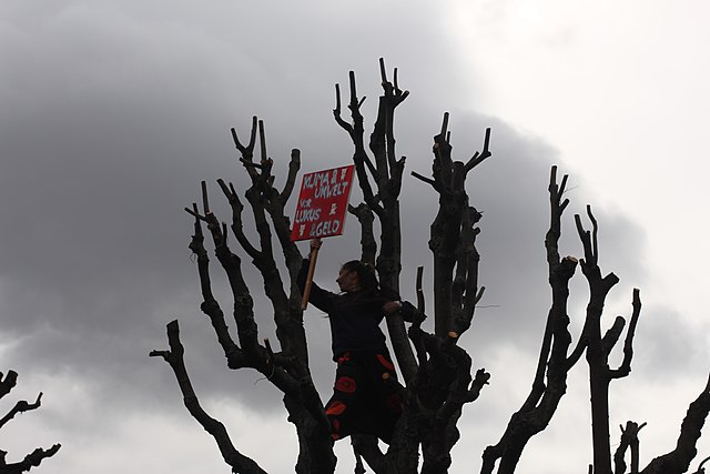 Young woman in tree: School strike for climate in Vienna