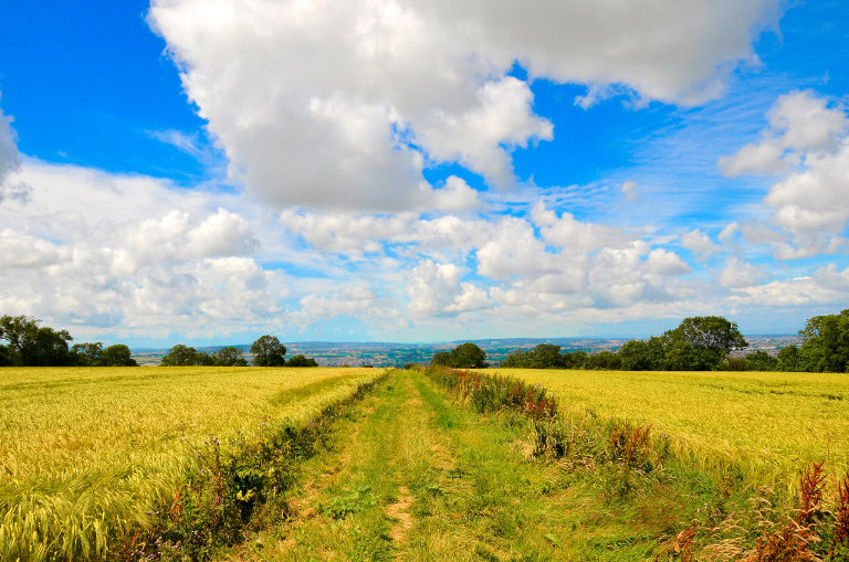 farm land
