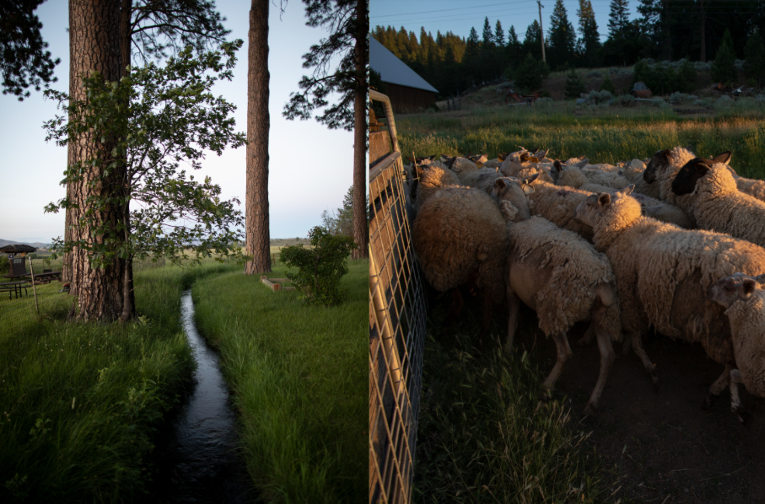 Hulsman Ranch