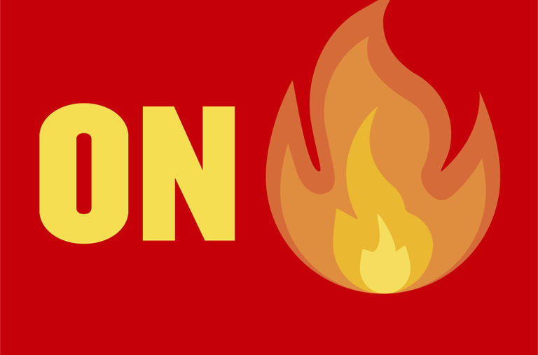 On Fire book cover