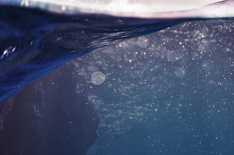 Chasing coral
