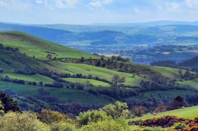 countryside