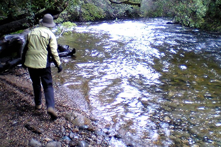 Wild River