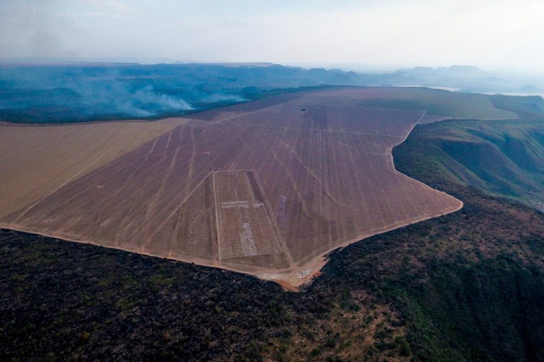 Brazilian Cerrado fires