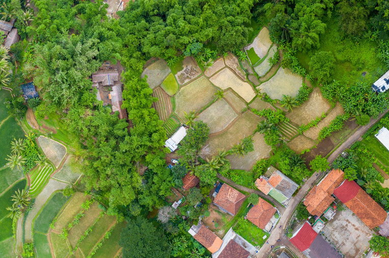 resilient communities
