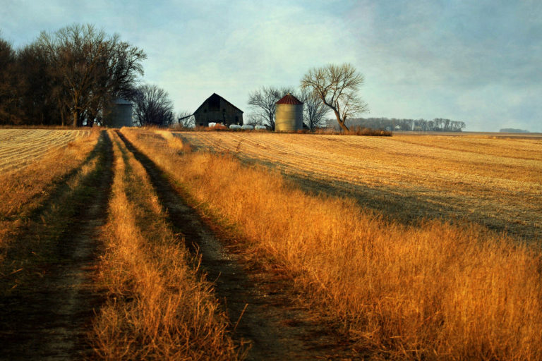Iowa farm