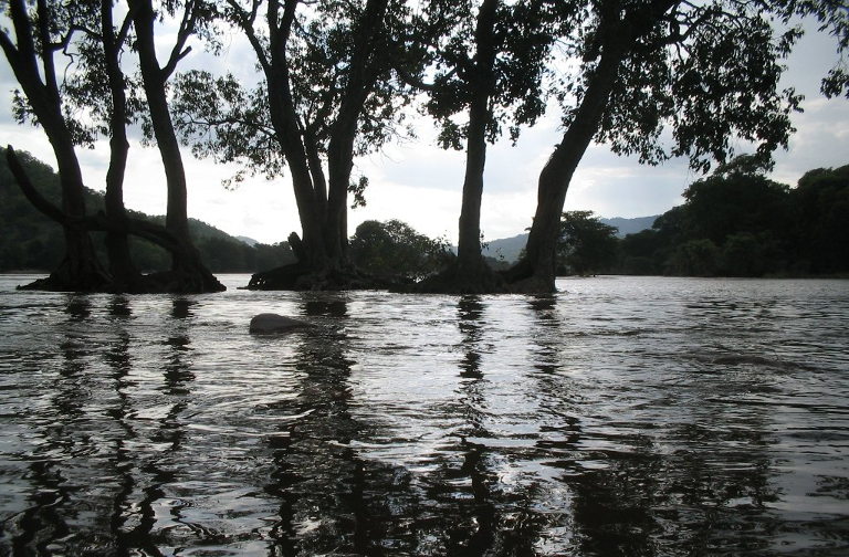 Flooding river