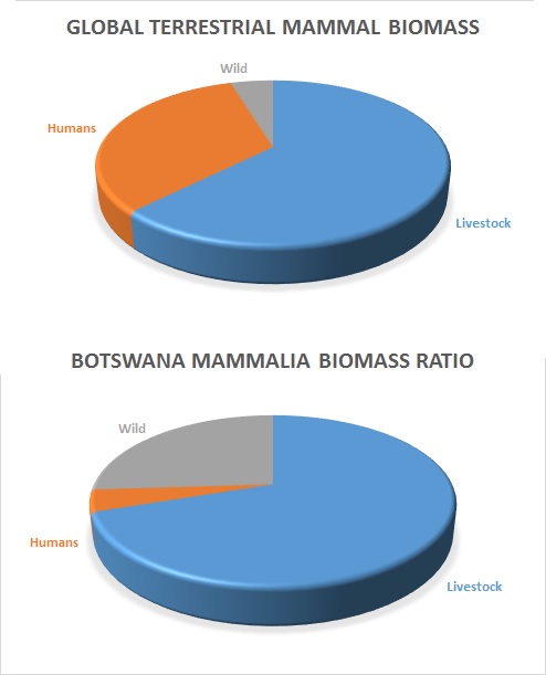 biomass
