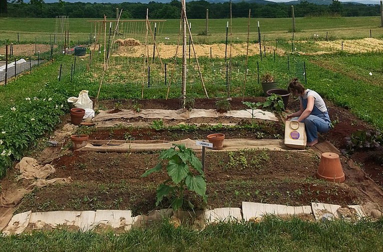 Community garden