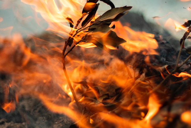 Fire