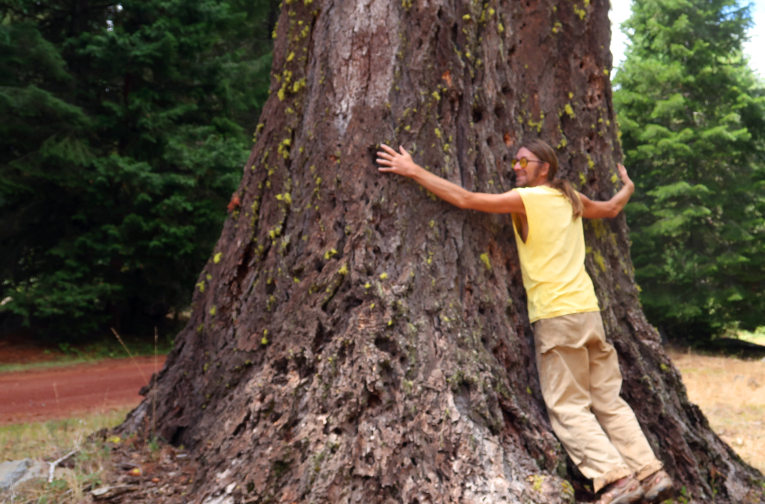 tree-hugging