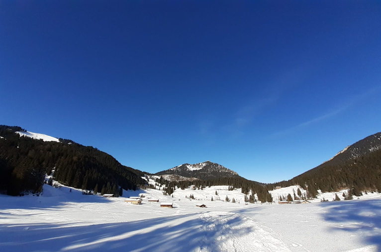 Bavarian Alps