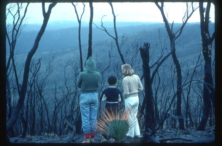 Australian bushfires