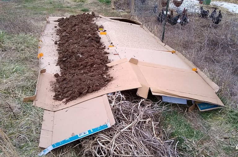 sheet mulch