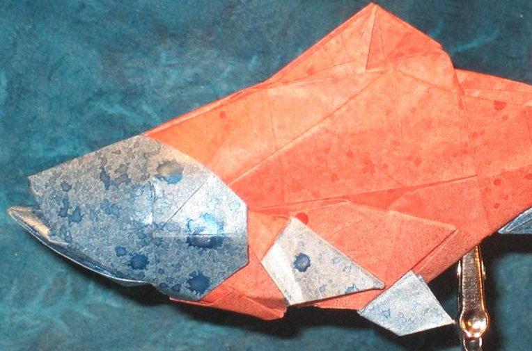 Farmed Fish