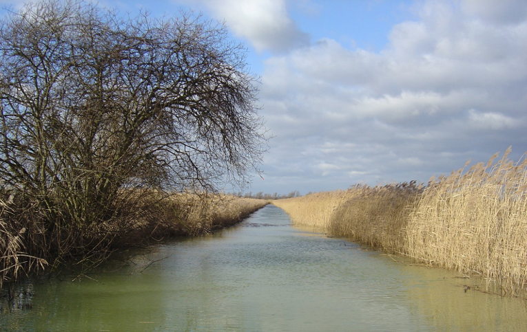 Sawtry fen