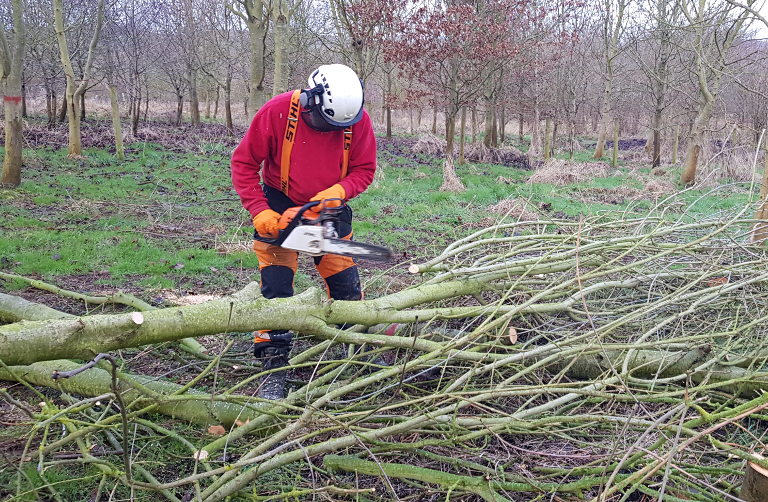chainsaws