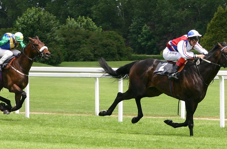horse race