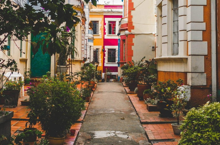 urban gardening