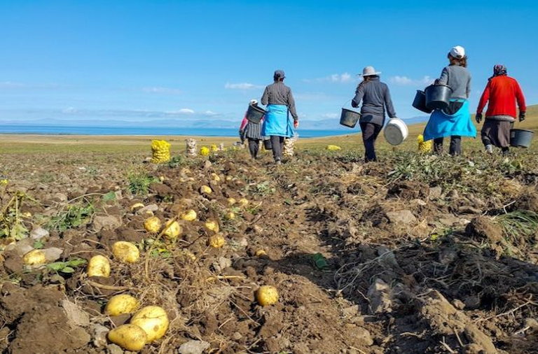 workers in field