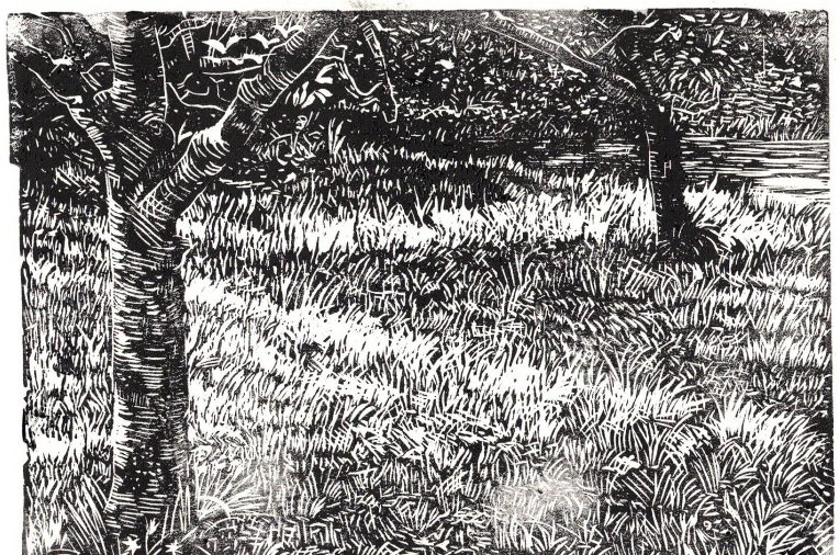 Apple Trees