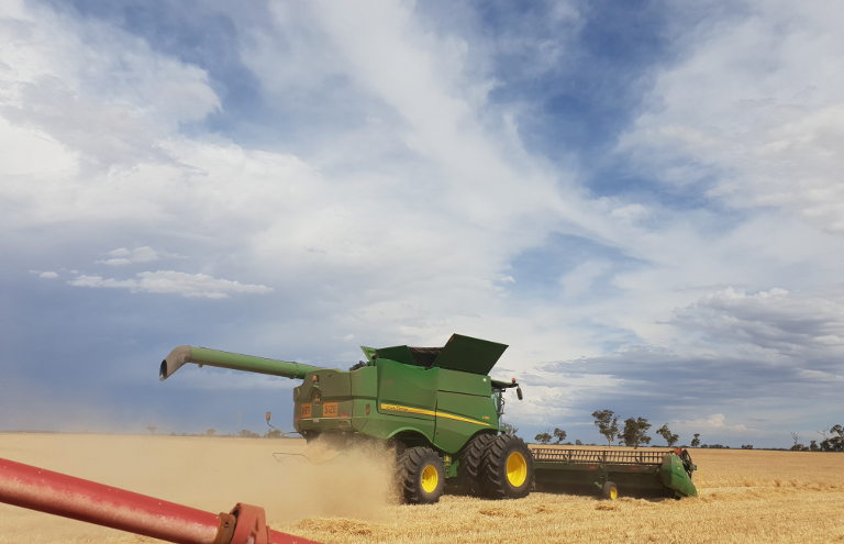 Harvesting grain