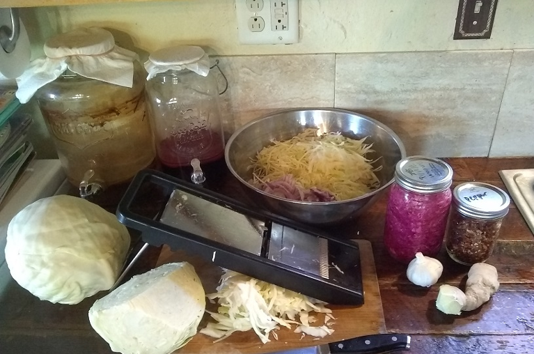 sauerkraut