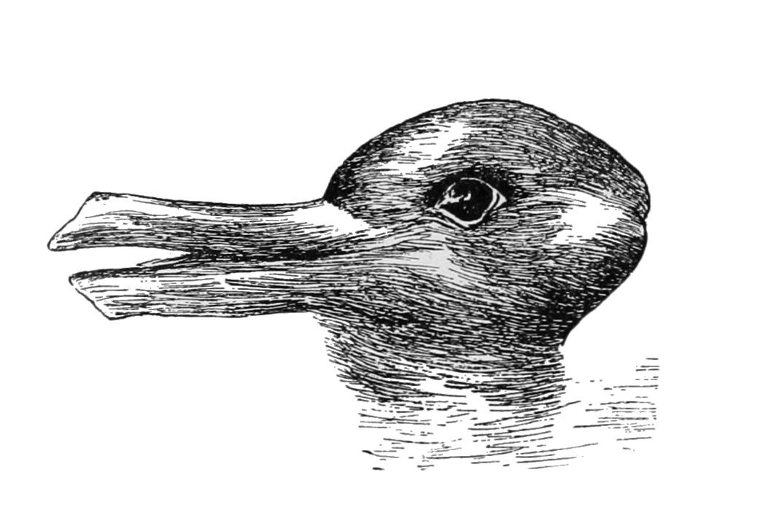 rabbit duck
