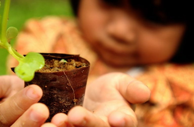 Food security