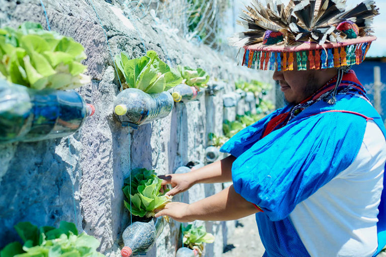 Huichol Center
