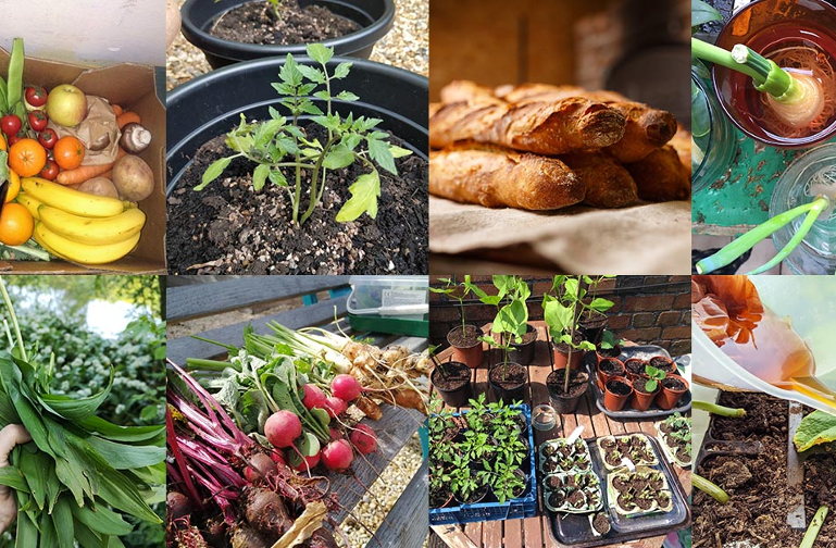 bristolfoodkind
