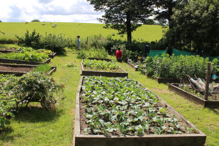 (Flickr/Local Food Initiative)