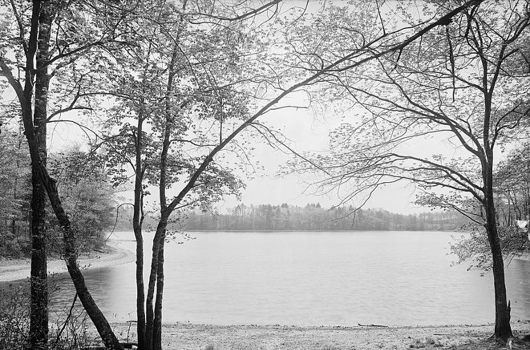 Walden Pond