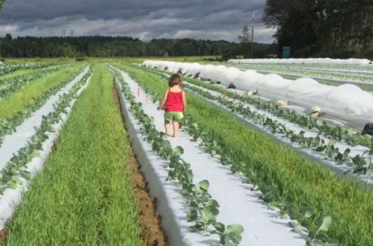 Six River Farm