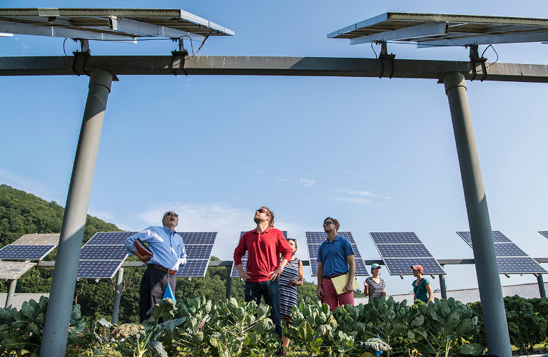 Solar panels