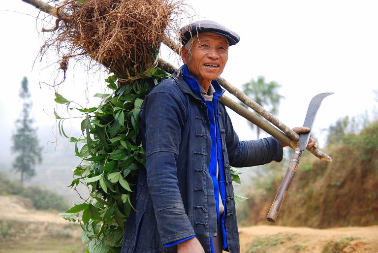 Yuanyang_hani_farmer