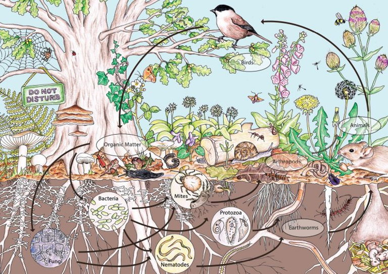 permaculture