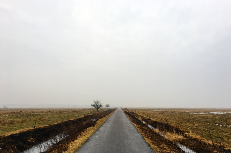 Road ahead