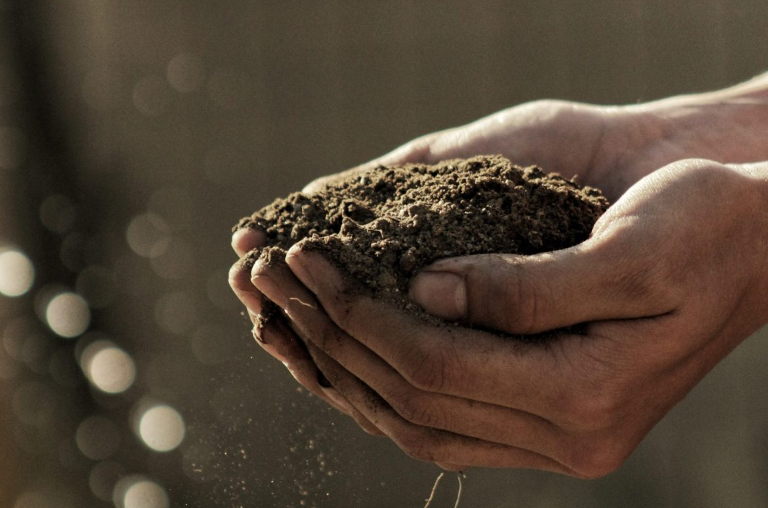 soil