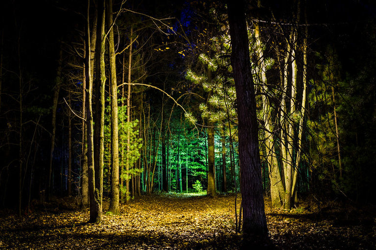 Trees